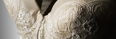 スキュレのホームページ